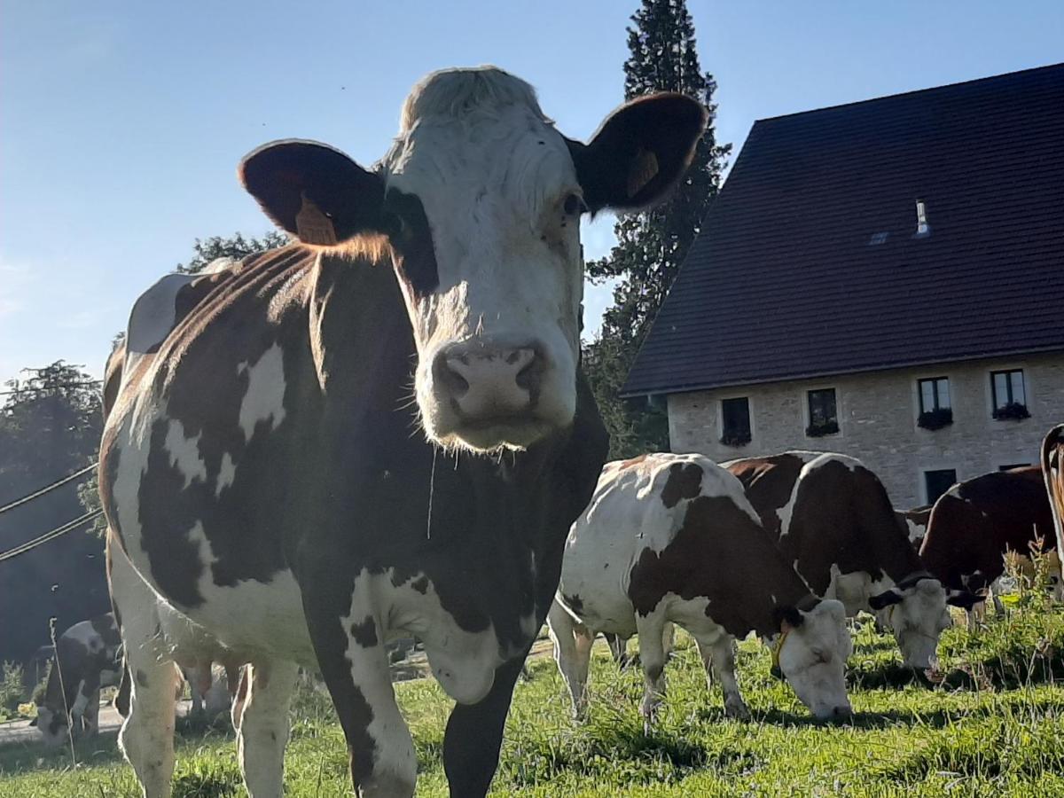 Gite Chez La So ! Avec Visite A La Ferme Arcon  Екстериор снимка