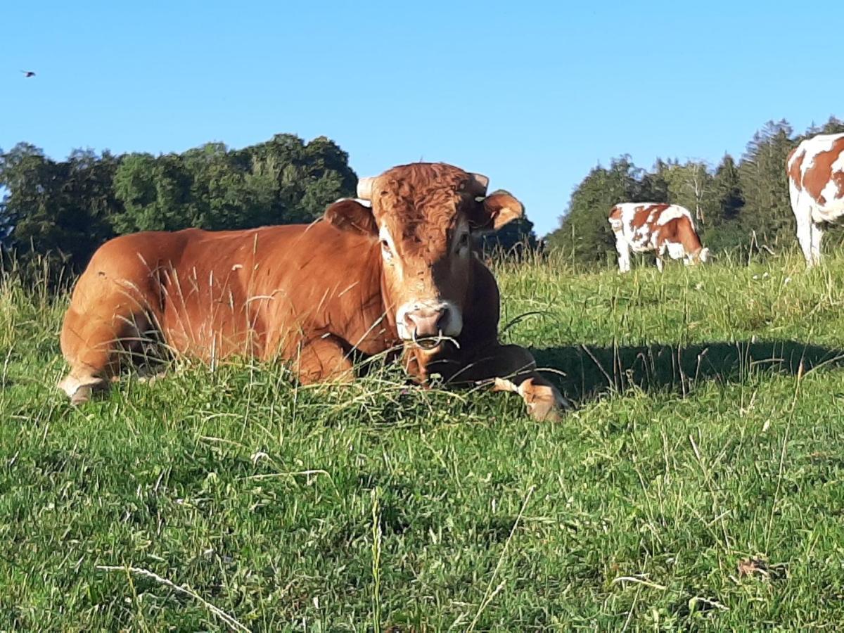 Gite Chez La So ! Avec Visite A La Ferme Arcon  Екстериор снимка